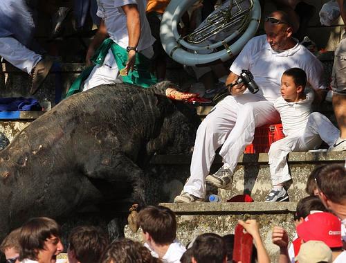 toro volador de tafalla